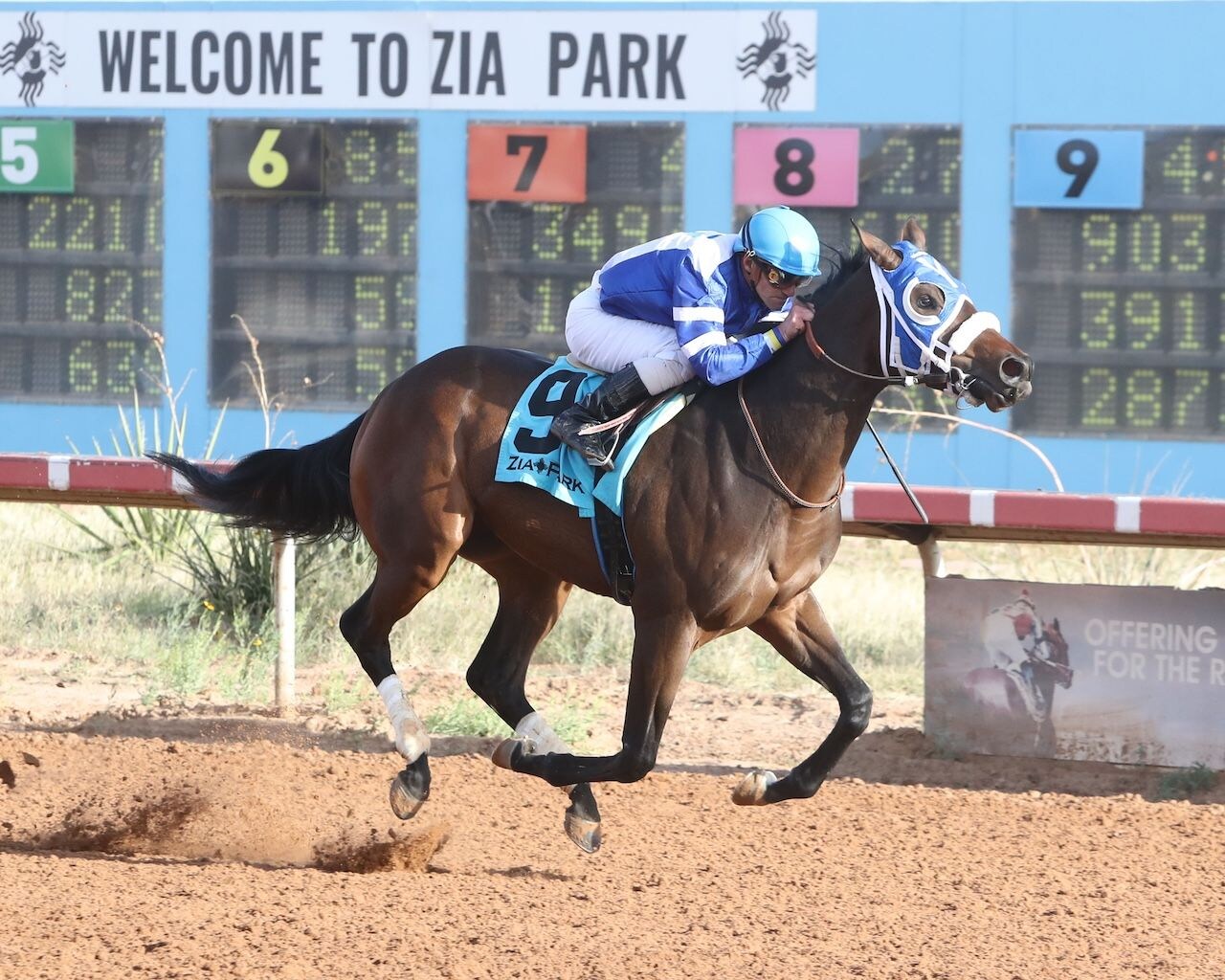 Holy Hank wins the New Mexico Classic Juvenile S. at Zia Park.