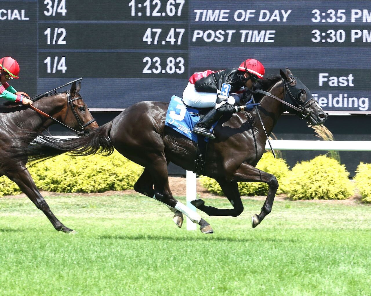 Hoosier Daddy Now wins the Snack at Horseshoe Indianapolis.