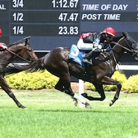 Hoosier Daddy Now wins the Snack at Horseshoe Indianapolis.