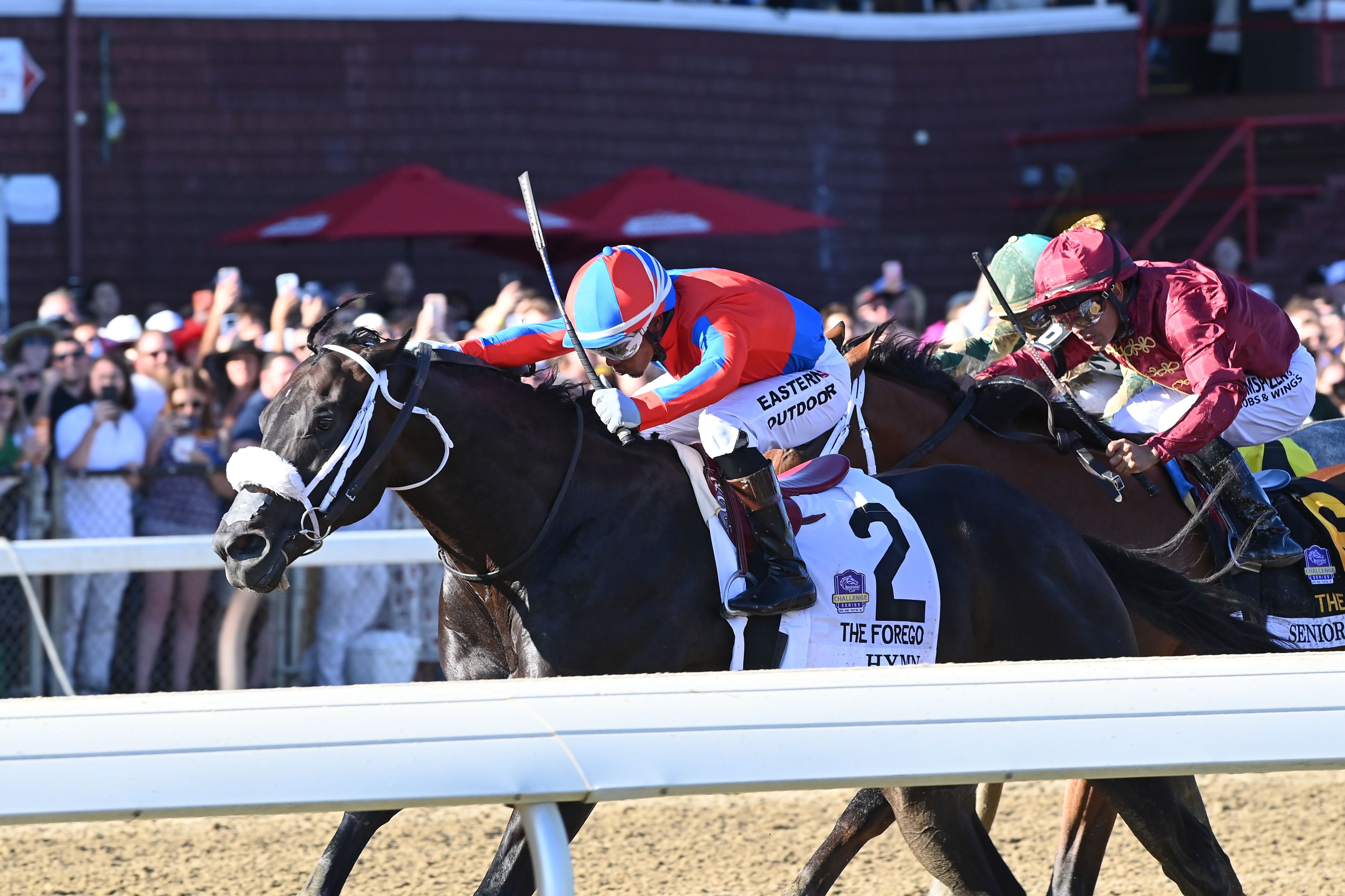 Hymn wins the Forego Stakes at Saratoga.