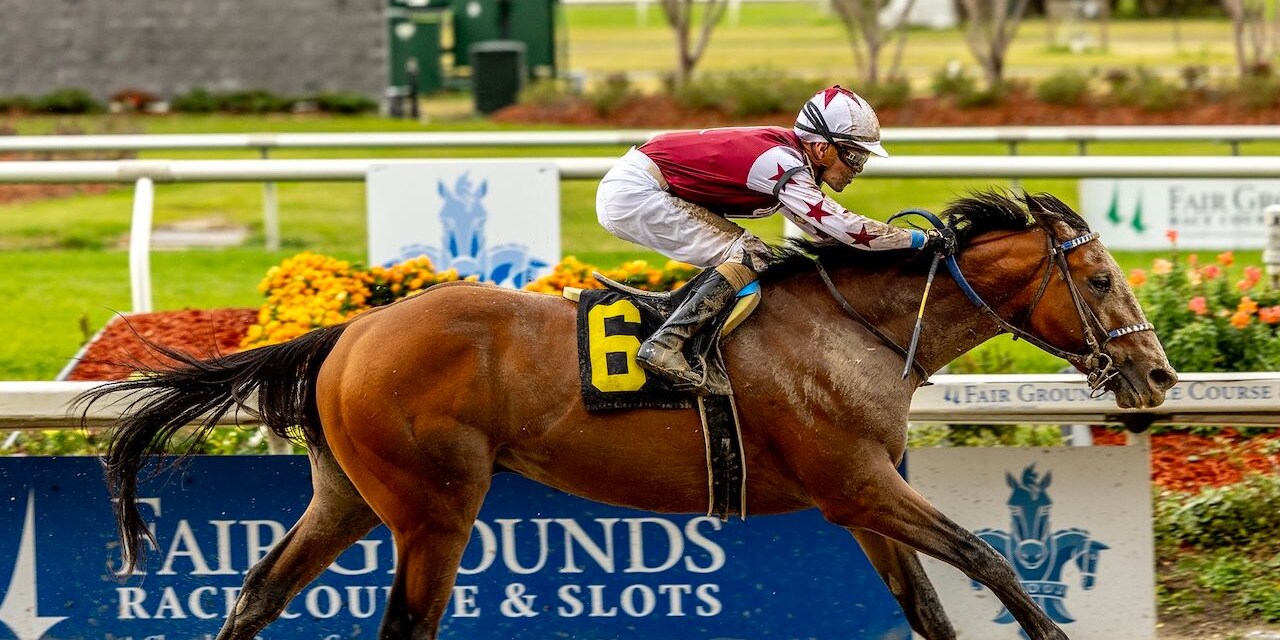 Hypnus wins at Fair Grounds.