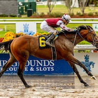 Hypnus wins at Fair Grounds.