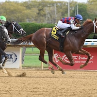 Igniter breaking his maiden at Aqueduct