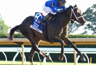 Immersive wins the Darley Alcibiades 2024
