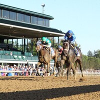 Quietside and Immersive in the Darley Alcibiades (G1) at Keeneland