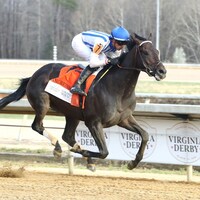 Incredibolt wins the Virginia Derby at Colonial Downs. 