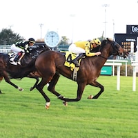 Bourbon Thirty wins at Churchill Downs.