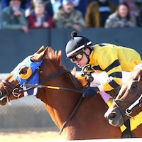 I Got Game wins race 5 at Oaklawn Park (Photo by Coady Media)
