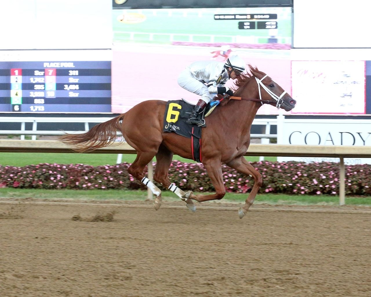 Ican wins at Horsehoe Indianapololis.