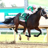 Idiomatic winning the 2024 Spinster (G1) at Keeneland (Photo by Coady Media)
