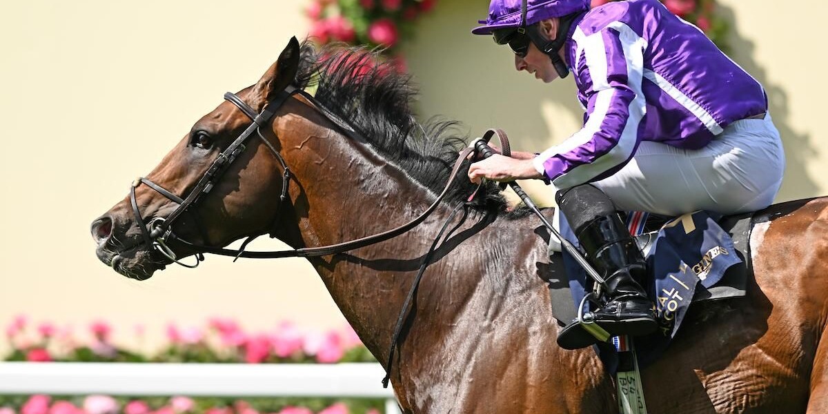 Illinois winning the 2024 Queen's Vase at Royal Ascot