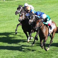 Imaginationthelady prevails over the troubled Infinite Sky and Time to Dream in the Jessamine (G2)