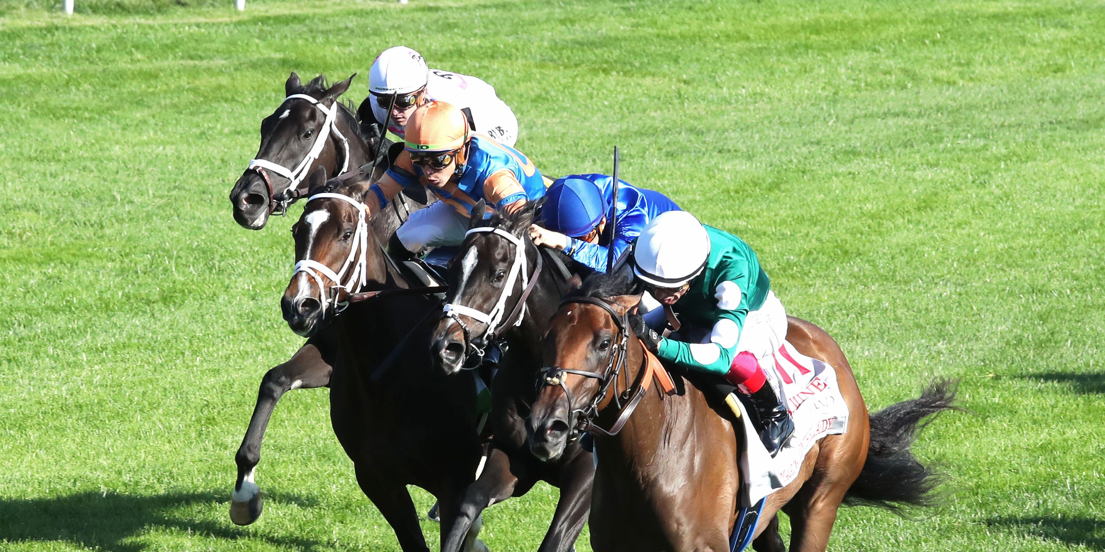 Imaginationthelady prevails over the troubled Infinite Sky and Time to Dream in the Jessamine (G2)