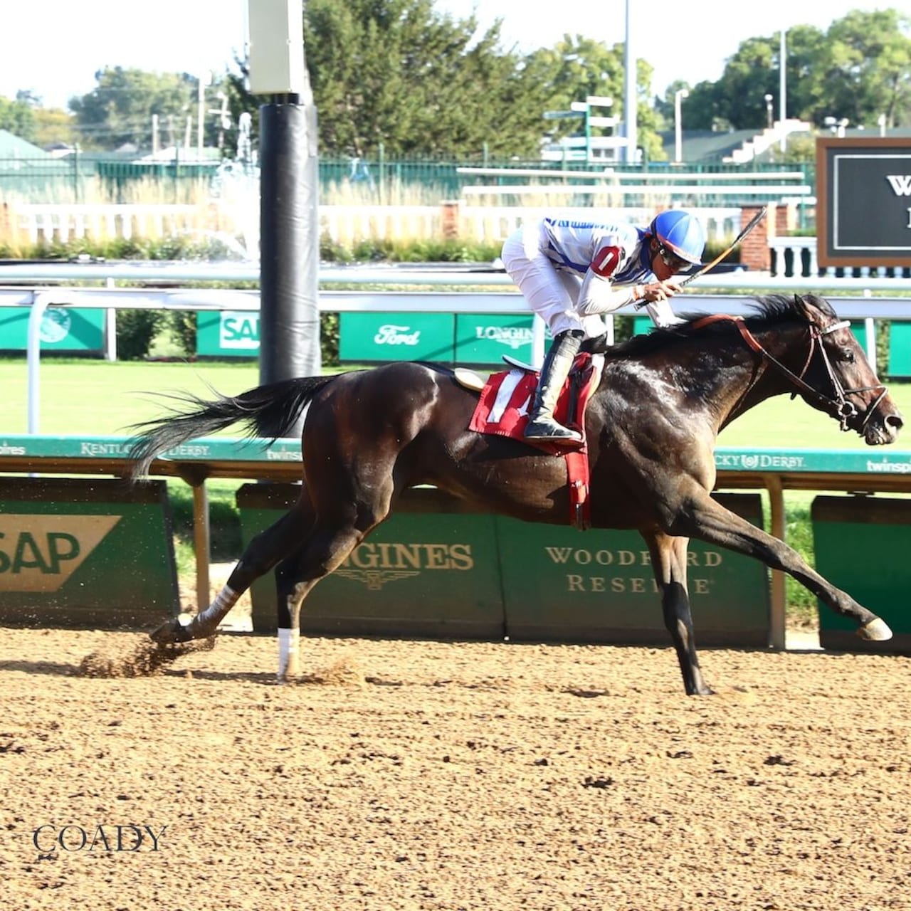 Incredibolt wins at Churchill Downs.