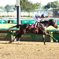 Incredibolt wins at Churchill Downs.