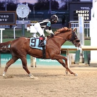 Injuction at Churchill Downs