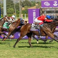 Inspiral wins the Breeders' Cup Filly & Mare Turf at Santa Anita