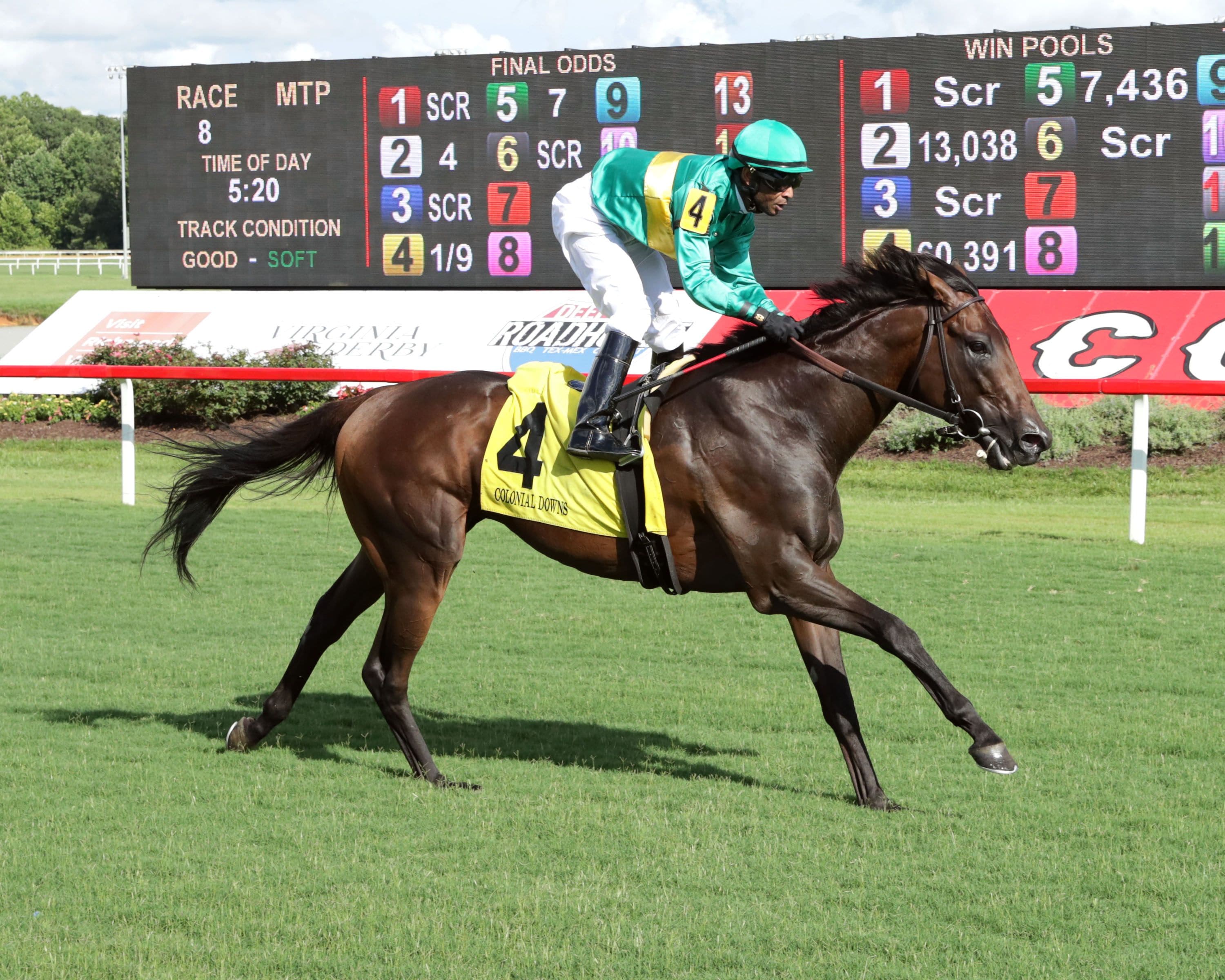Integration wins the Milion Preview at Colonial Downs 2024 (Coady Media/Maddy Becker/Colonil Downs)