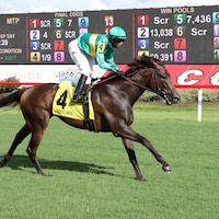 Integration wins the Milion Preview at Colonial Downs 2024 (Coady Media/Maddy Becker/Colonil Downs)