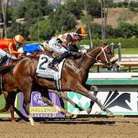 Intrepido wins the American Pharoah at Santa Anita.