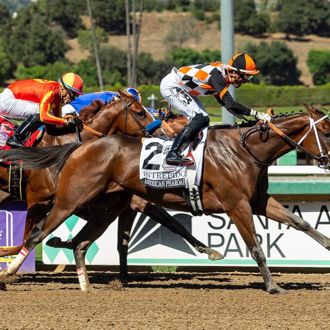 Intrepido wins the American Pharoah at Santa Anita.