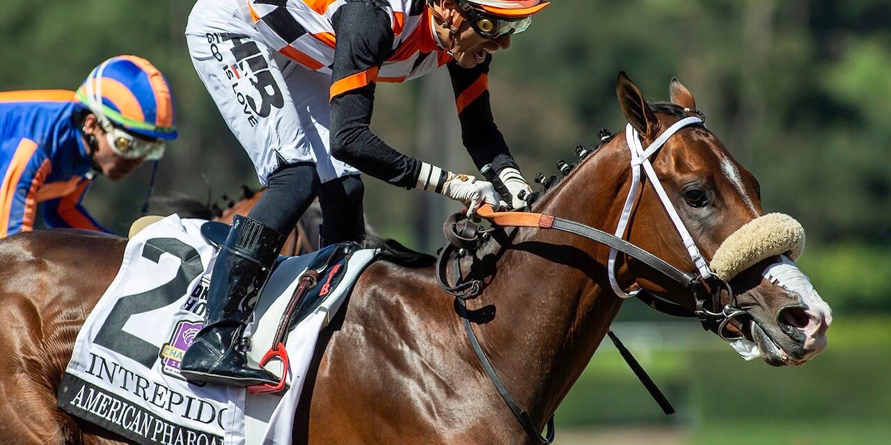 Intrepido wins the American Pharoah at Santa Anita.