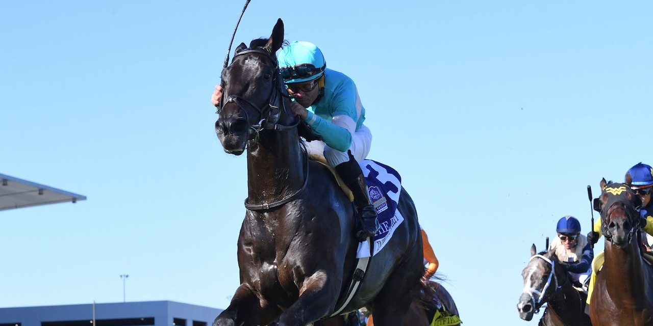 Intricate Spirit wins the Futurity at Belmont at the Big A.