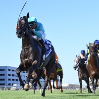 Intricate Spirit wins the Futurity at Belmont at the Big A.