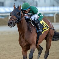Iron Honor wins the Gotham Stakes at Aqueduct.