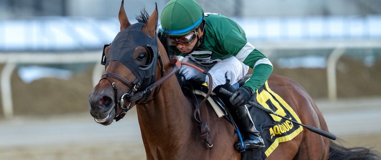 Iron Honor wins the Gotham Stakes at Aqueduct.