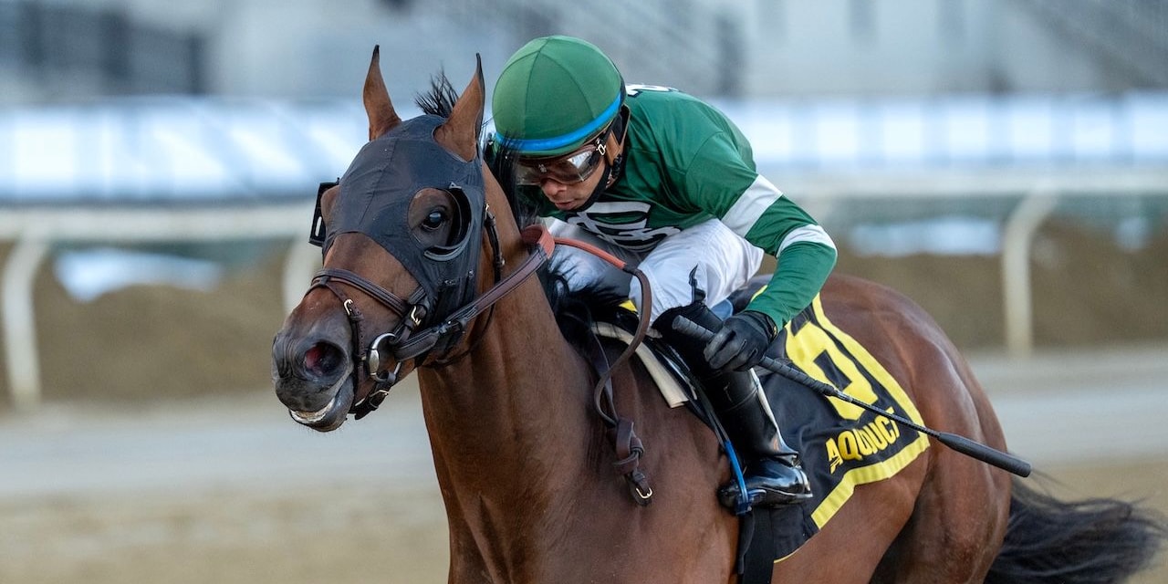 Iron Honor wins the Gotham Stakes at Aqueduct.