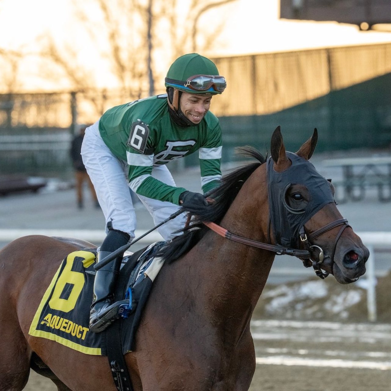 Iron Honor wins the Gotham Stakes at Aqueduct.