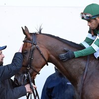 Iron Honor wins the Gotham Stakes at Aqueduct.