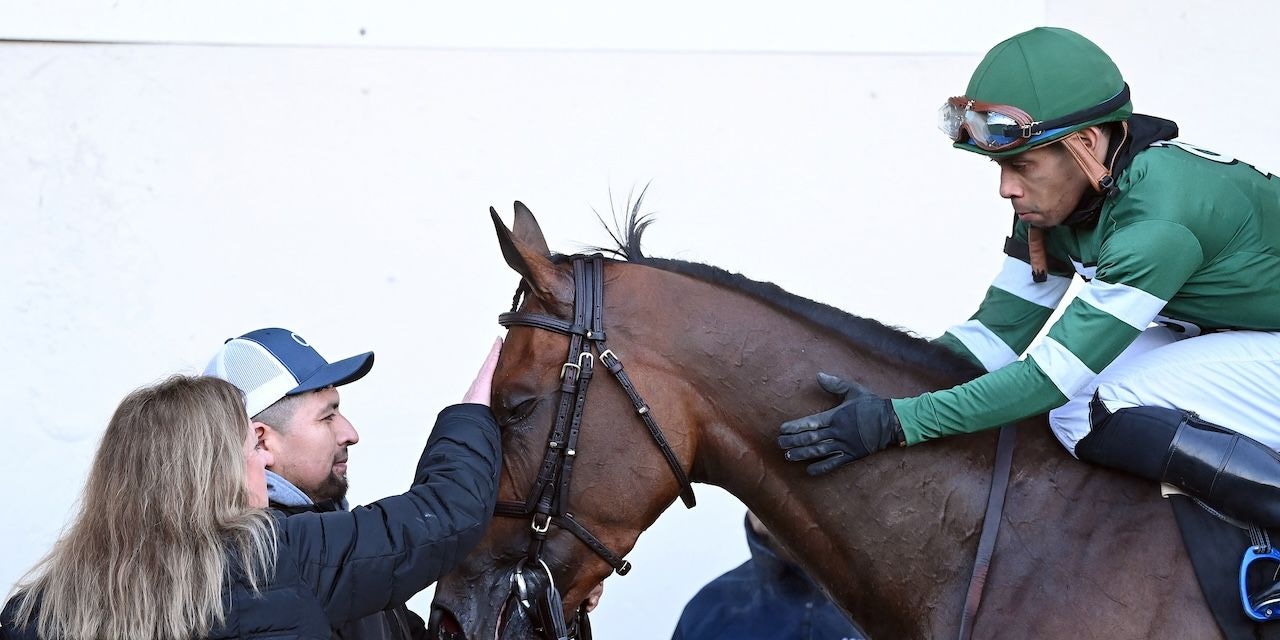 Iron Honor wins the Gotham Stakes at Aqueduct.