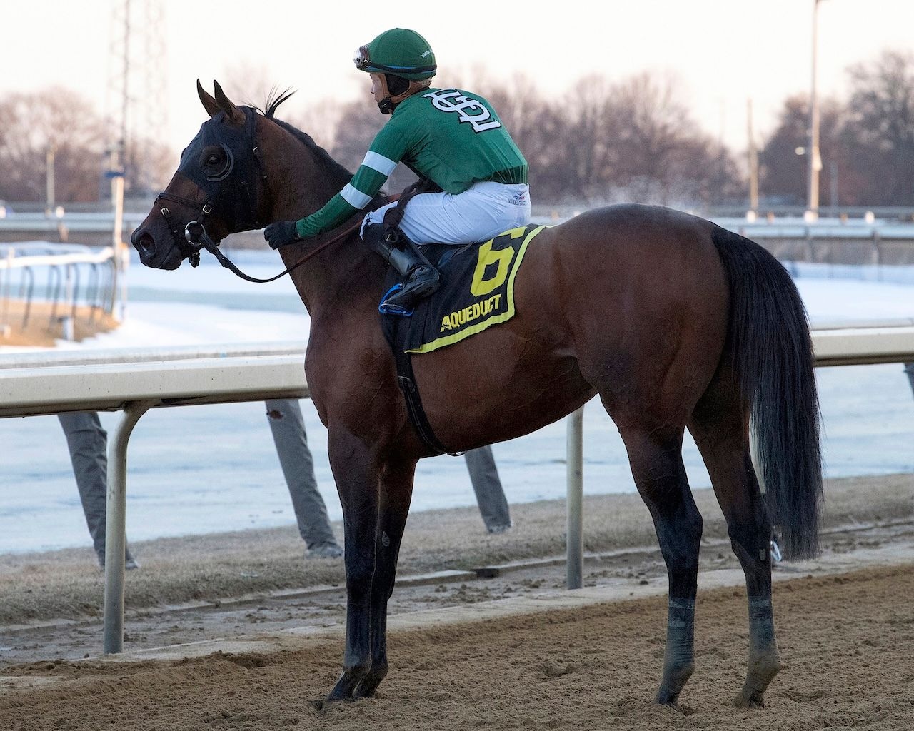 Iron Honor wins the Gotham Stakes at Aqueduct.