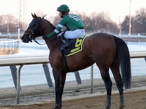 Iron Honor wins the Gotham Stakes at Aqueduct.