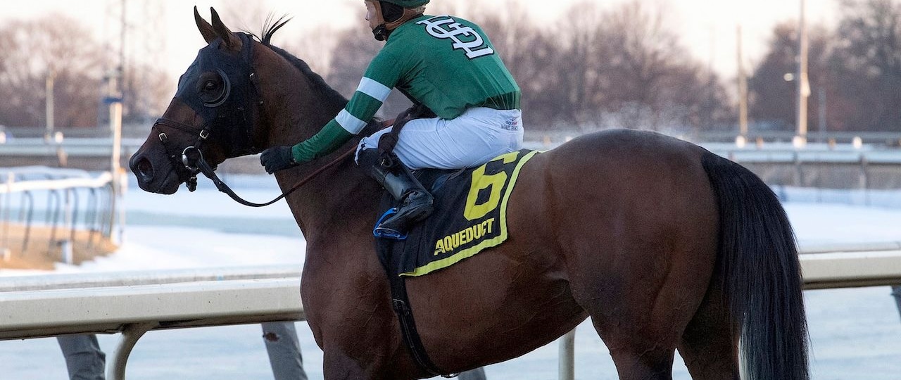Iron Honor wins the Gotham Stakes at Aqueduct.