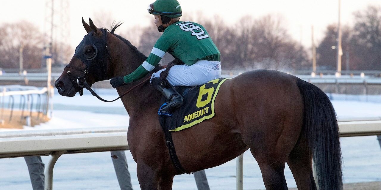 Iron Honor wins the Gotham Stakes at Aqueduct.