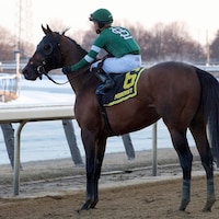 Iron Honor wins the Gotham Stakes at Aqueduct.