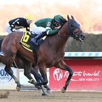 Iron Honor wins the Gotham Stakes at Aqueduct.