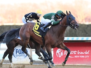 Iron Honor wins the Gotham Stakes at Aqueduct.