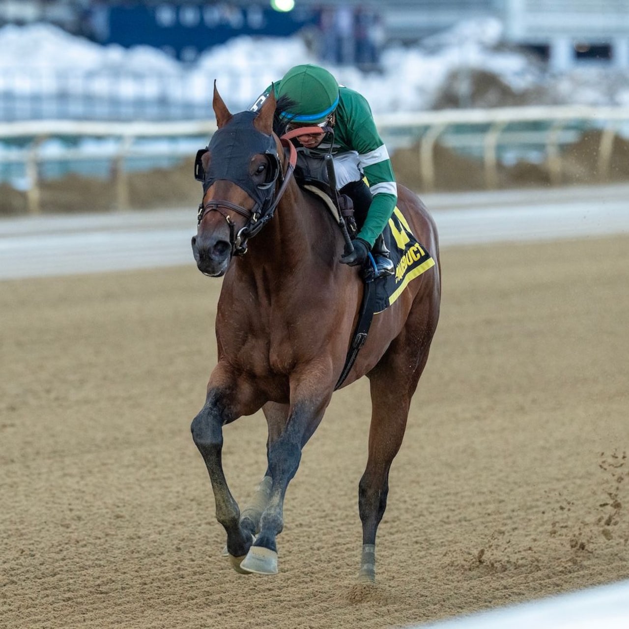 Iron Honor wins the Gotham Stakes at Aqueduct.