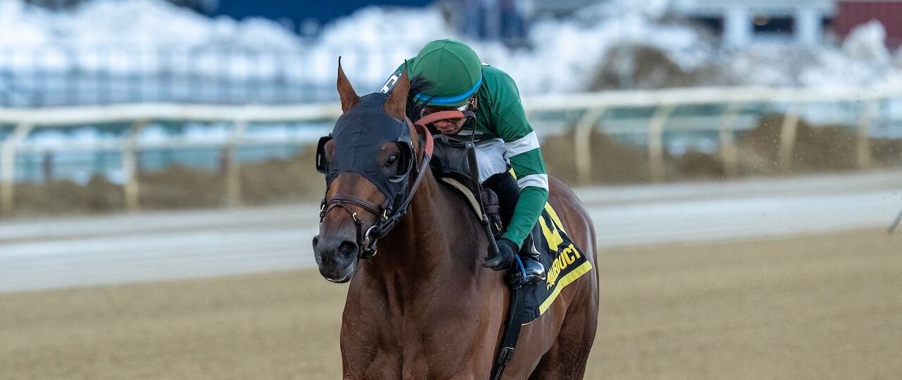 Iron Honor wins the Gotham Stakes at Aqueduct.