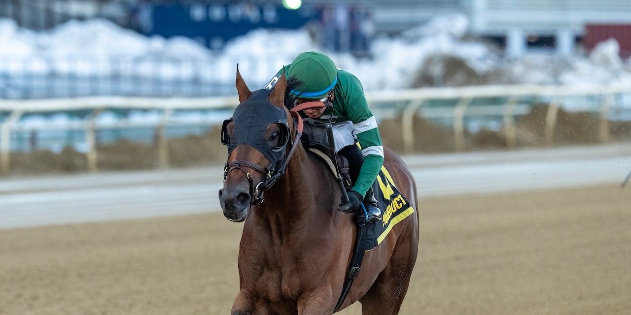 Iron Honor wins the Gotham Stakes at Aqueduct.