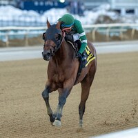 Iron Honor wins the Gotham Stakes at Aqueduct.