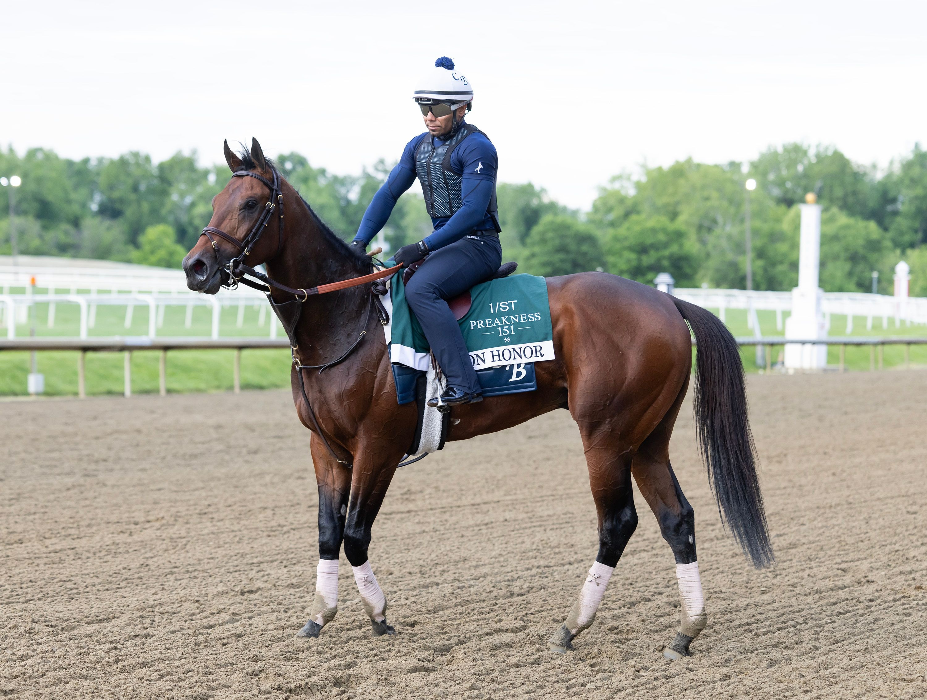 Iron Honor trains ahead of the Preakness Stakes (Photo by Equi-Photo)