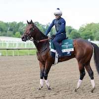 Iron Honor trains ahead of the Preakness Stakes (Photo by Equi-Photo)