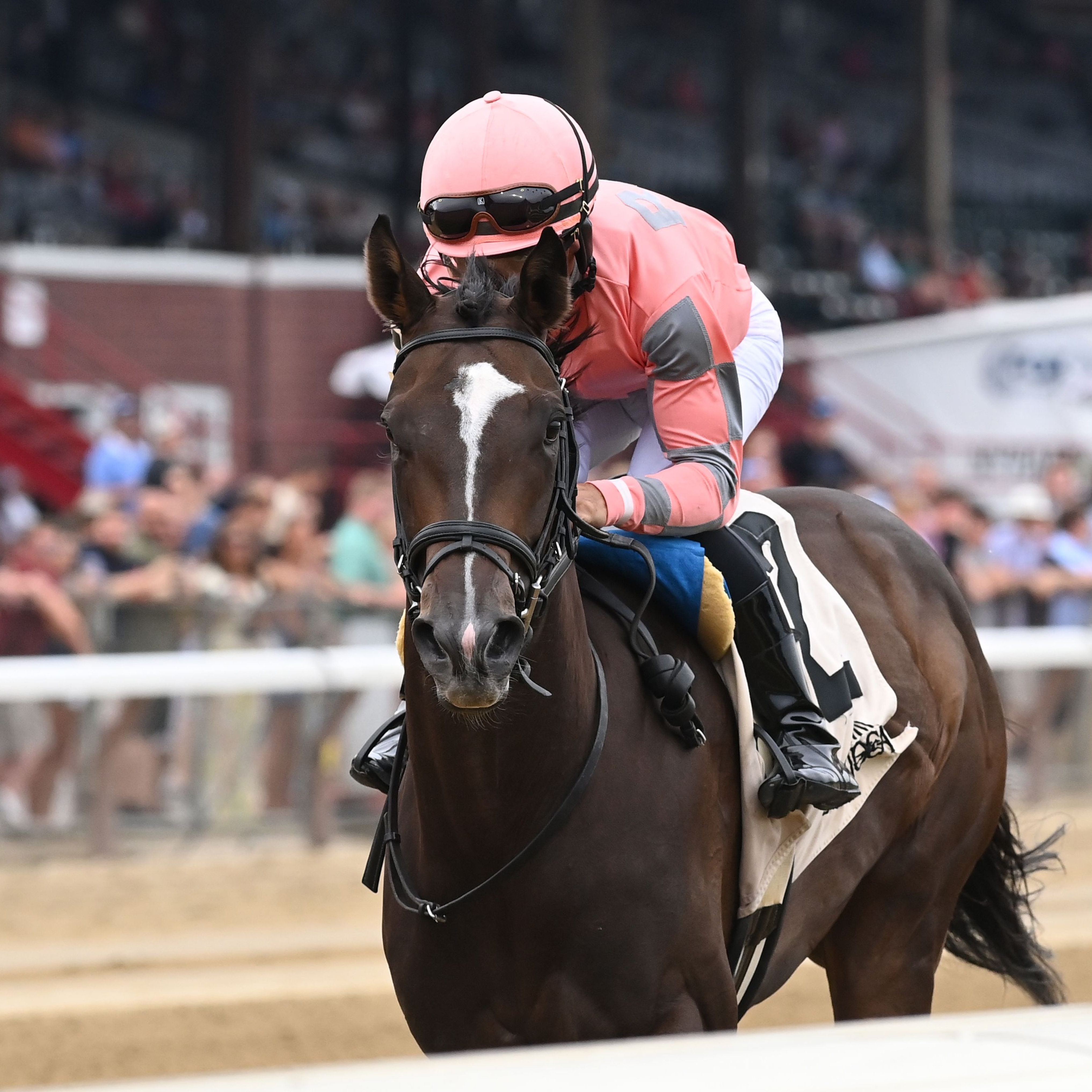 Iron Orchard wins at Saratoga 2025 (Photo by Coglianese Photos)