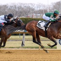 Iron Honor breaking his maiden at Aqueduct