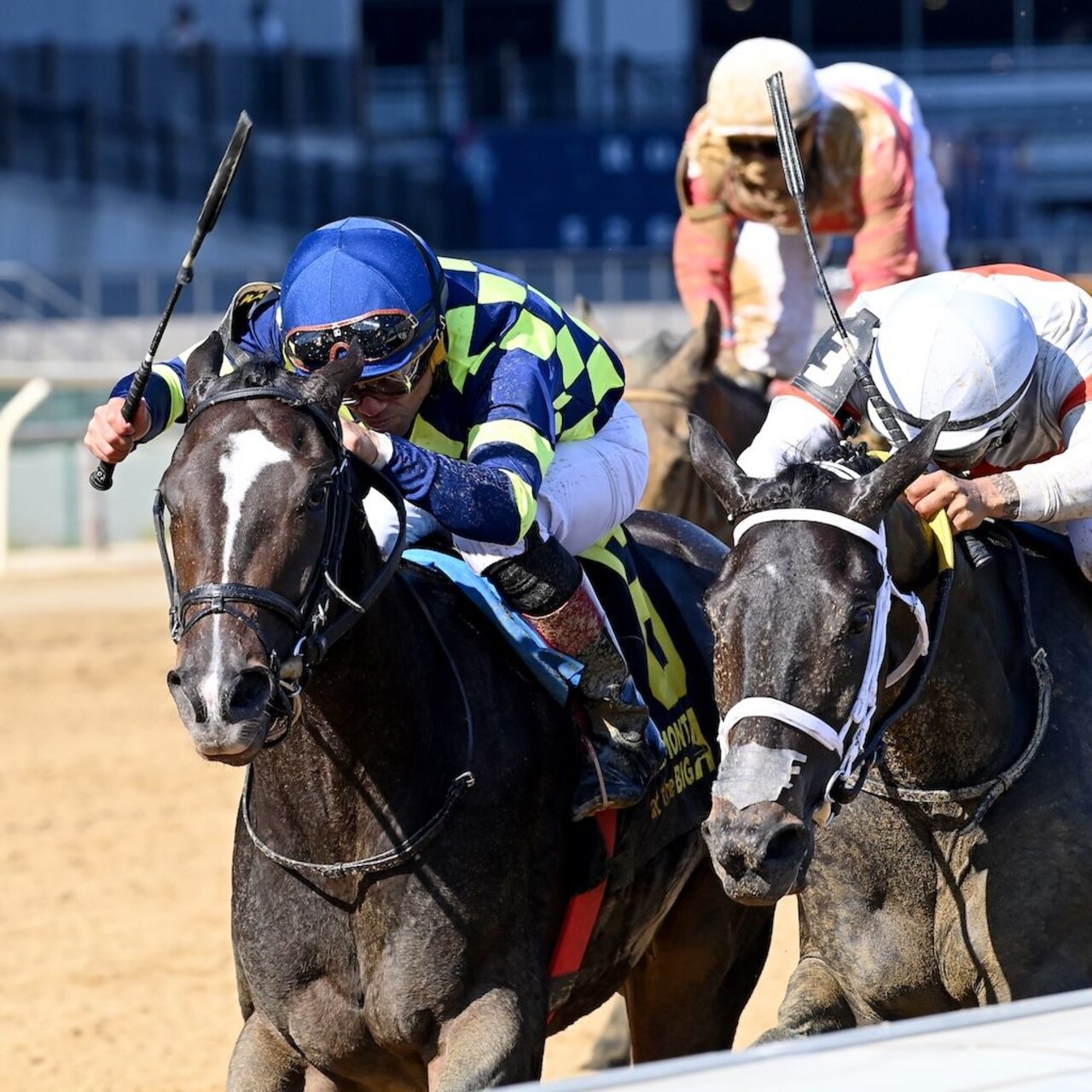 Iron Orchard wins the Frizette at Aqueduct.